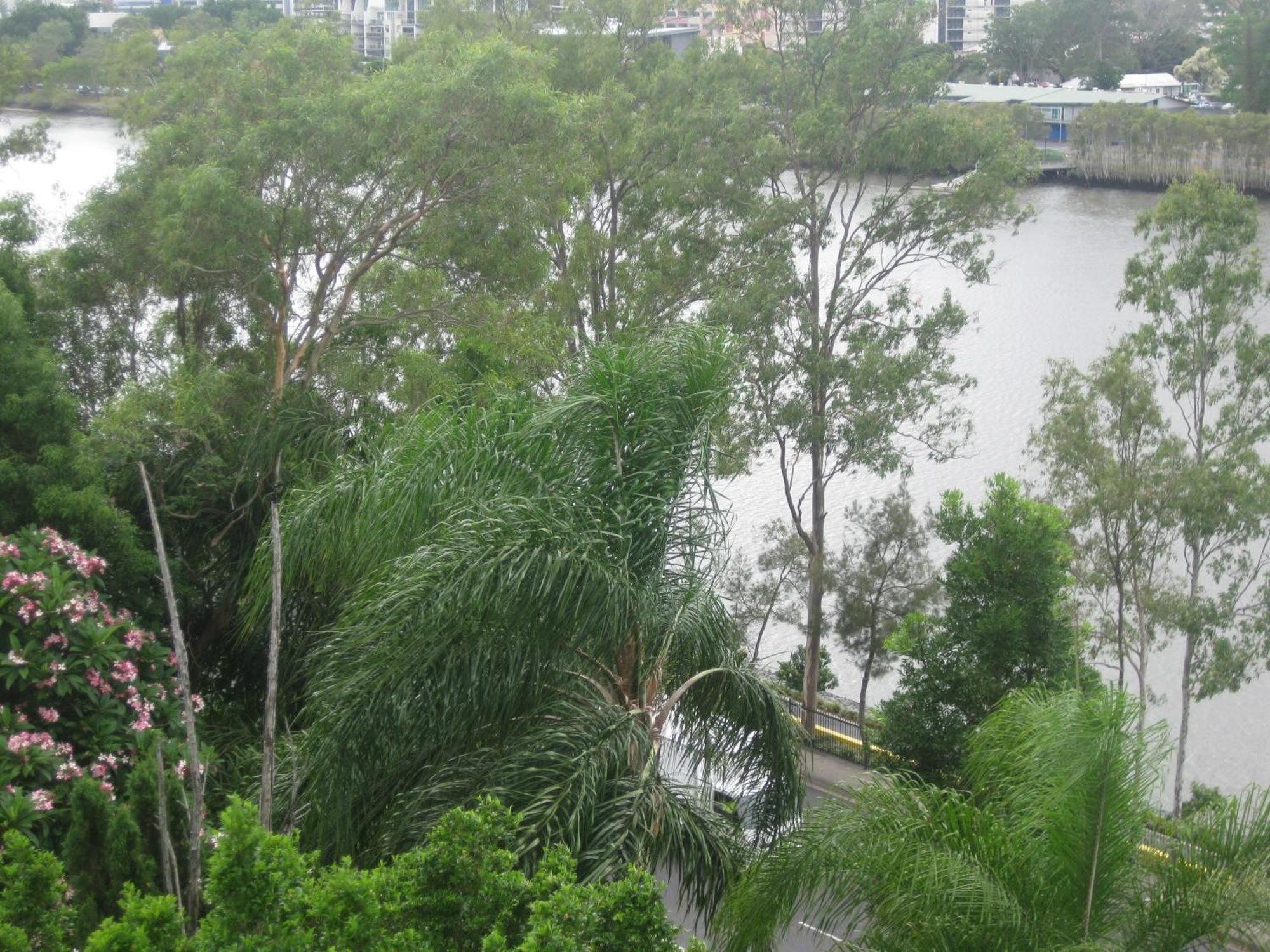 Fairthorpe Apartments Brisbane Exterior foto